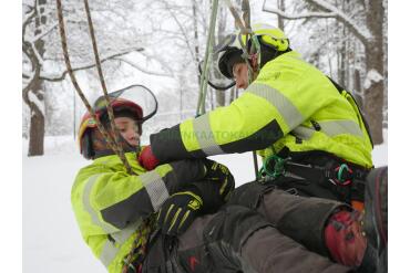 LANTRA Access a Tree Using a Rope and Harness and Aerial Tree Rescue Training Course