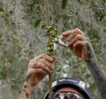 Teufelberger prusikLOOP fimble - Image 2